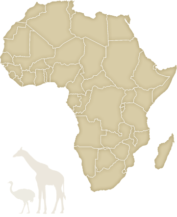 Africa