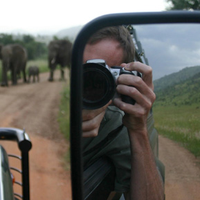 Photo of Elephants